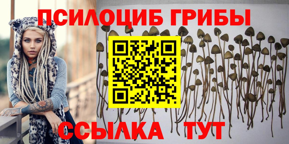 Псилоцибиновые грибы ЛСД Озёрск