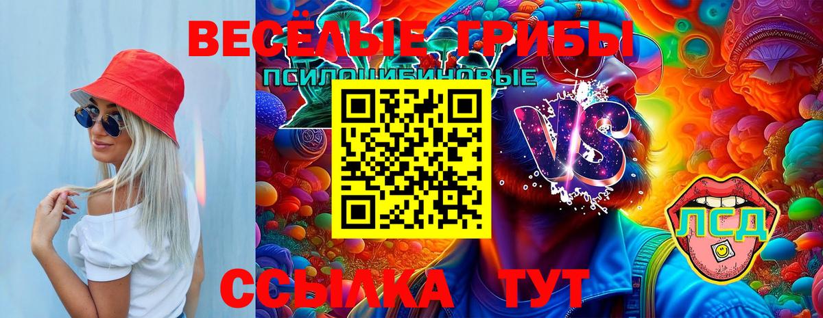 Галлюциногенные грибы Psilocybe  Галлюциногенные грибы Cubensis  Вход с VPN  Озёрск 